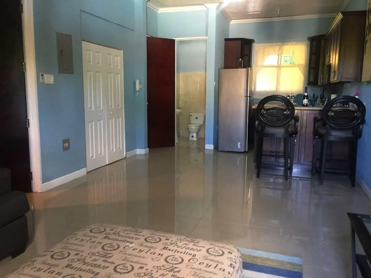 קינגסטון Barri Vacation Home